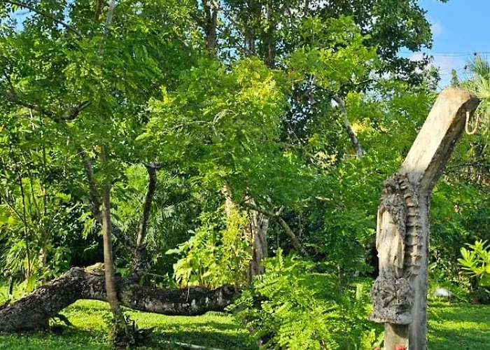 Casa Don Chiquilin El Cedral Holiday home Cozumel
